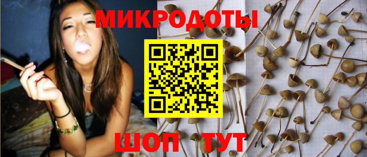 Галлюциногенные грибы Magic Shrooms  Вход с VPN  Киреевск 