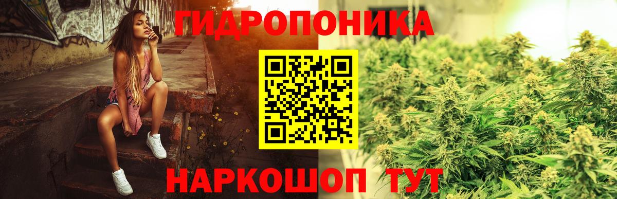 Шишки марихуана планчик Киреевск